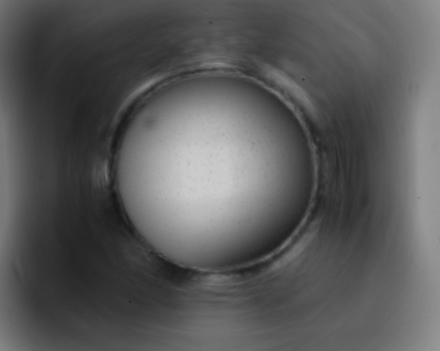 X0000093231166200710101358