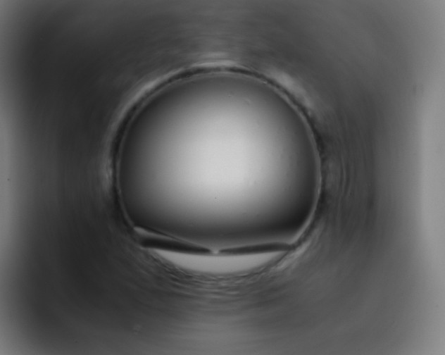 X0000093231167200710101358