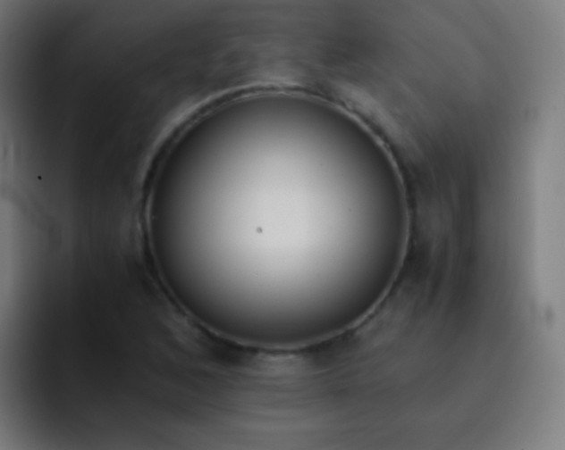 X0000093231168200710101358