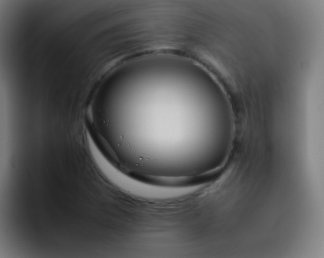 X0000093231169200710101358