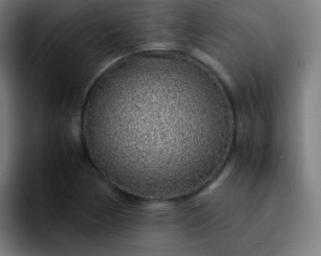 X0000093231170200710101358