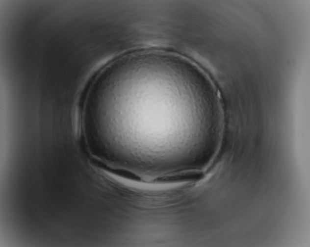 X0000093231171200710101358