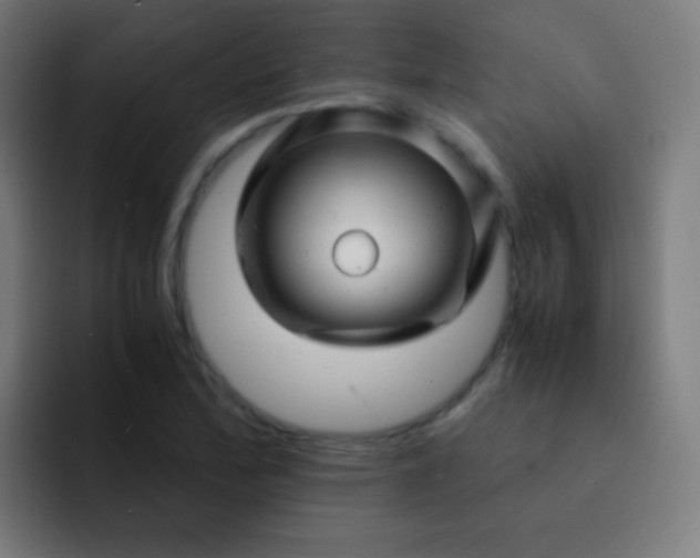 X0000093231172200710101358