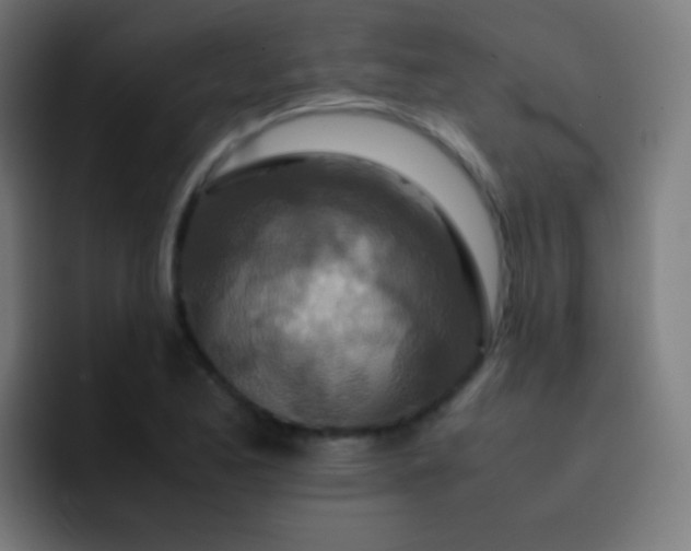 X0000093231173200710101358