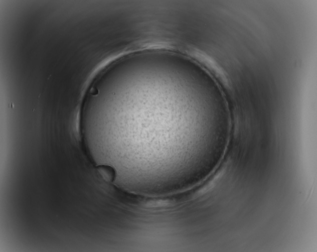 X0000093231174200710101358