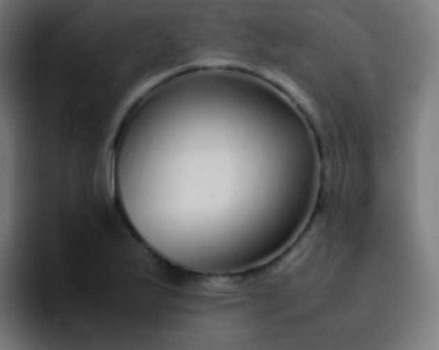 X0000093231175200710101358