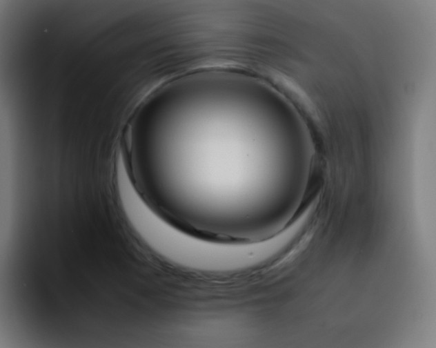 X0000093231177200710101358