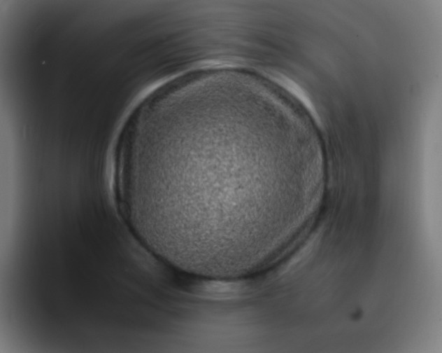 X0000093231179200710101358