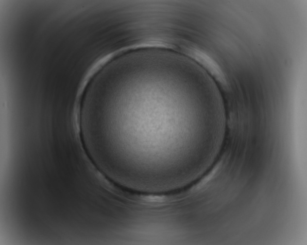 X0000093231180200710101358