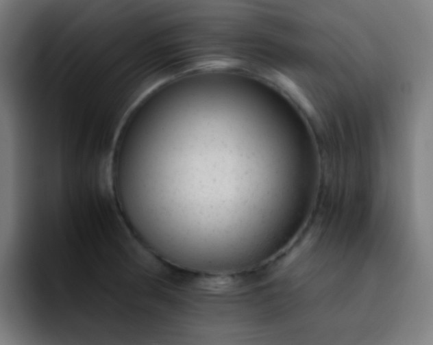 X0000093231186200710101358