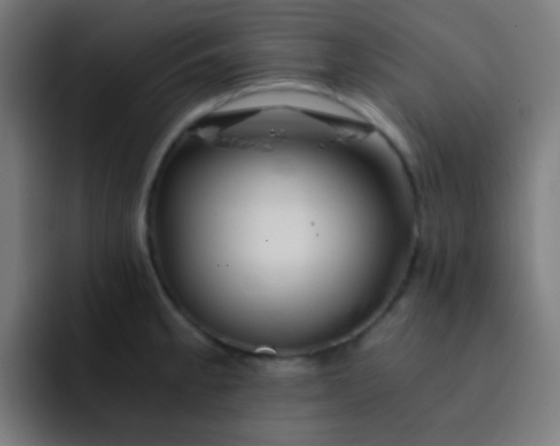 X0000093231189200710101358