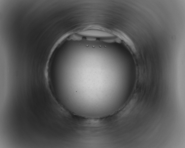 X0000093231190200710101358