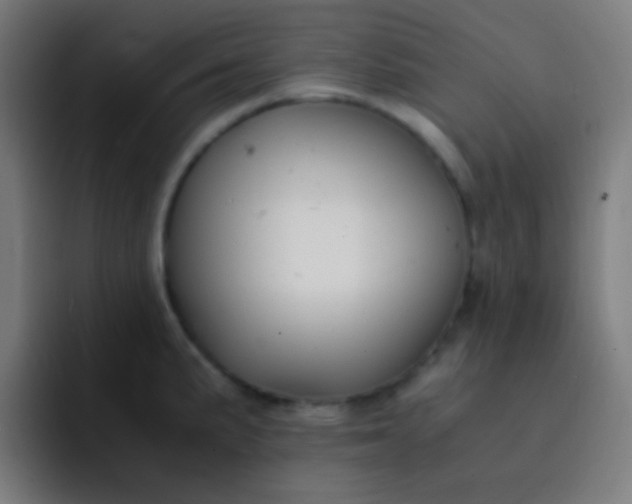 X0000093231191200710101358