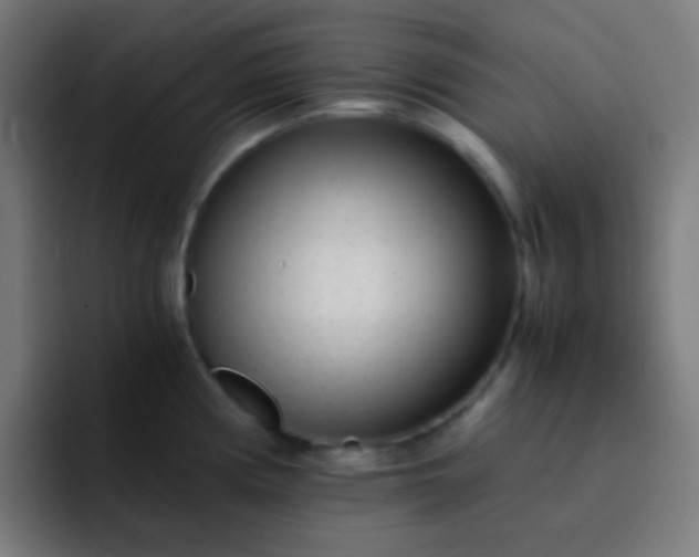 X0000093231194200710101358