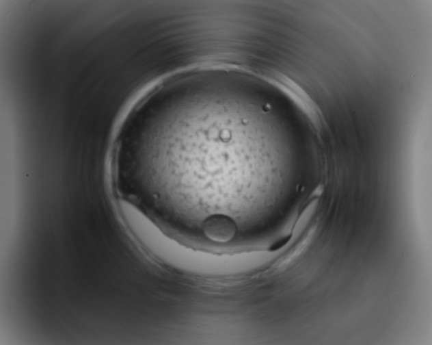 X0000093231196200710101358