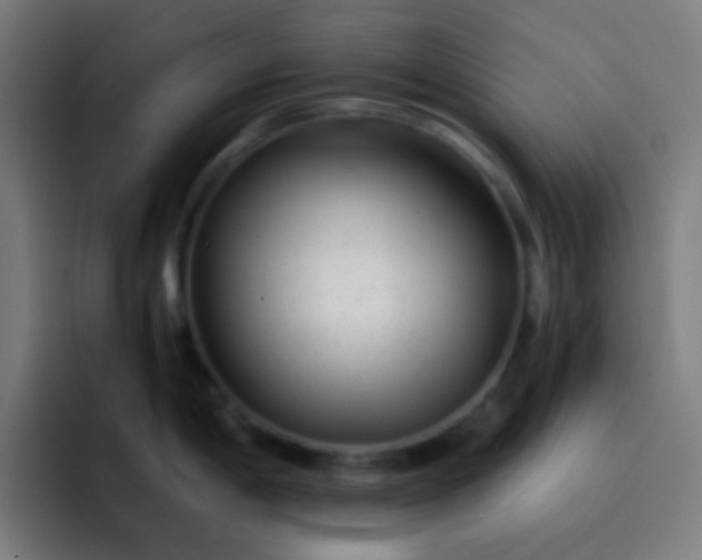 X0000093231198200710101358