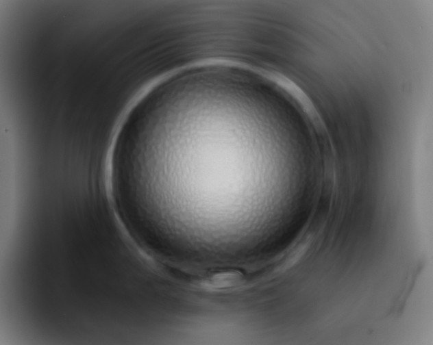 X0000093231199200710101358