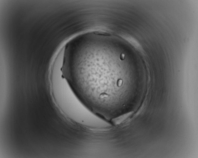 X0000093231200200710101358