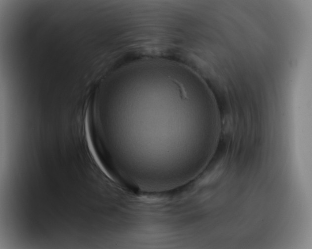 X0000093231202200710101357