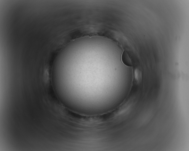 X0000093231203200710101357