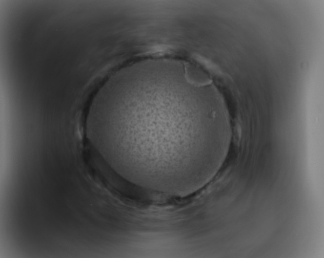 X0000093231206200710101357