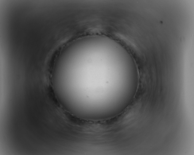 X0000093231207200710101357