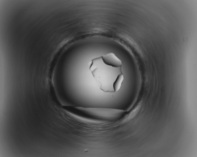 X0000093231210200710101357