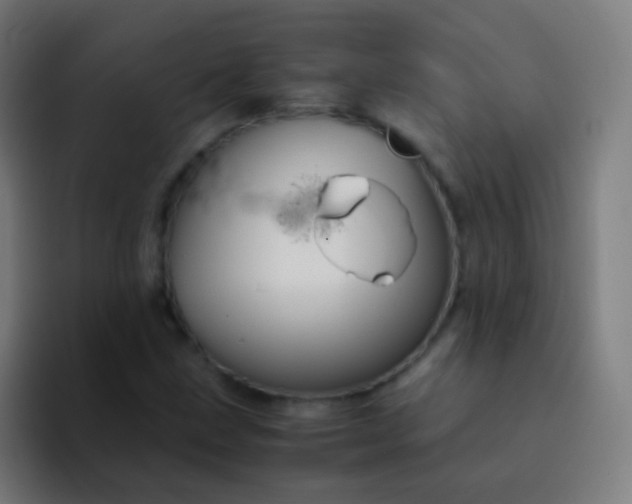 X0000093231211200710101357