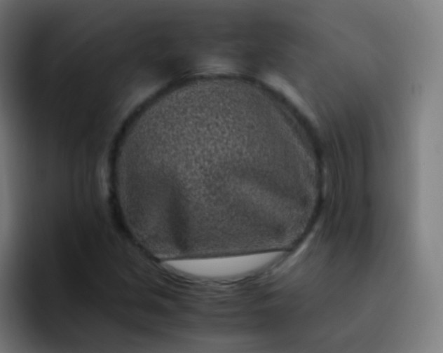 X0000093231213200710101357