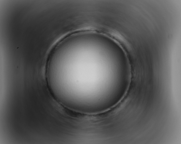 X0000093231216200710101357