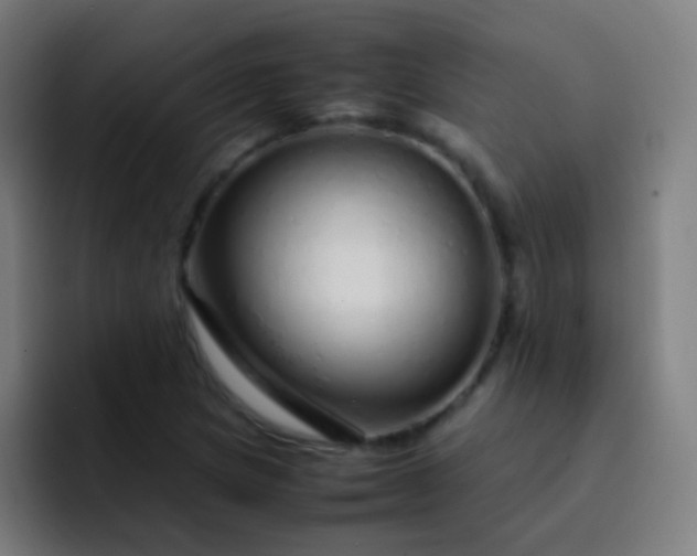 X0000093231217200710101357