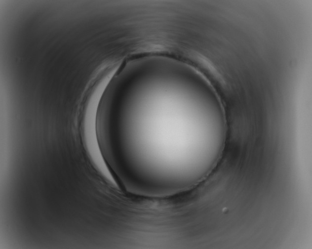 X0000093231218200710101357