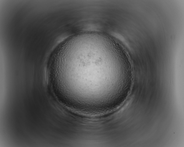 X0000093231219200710101357