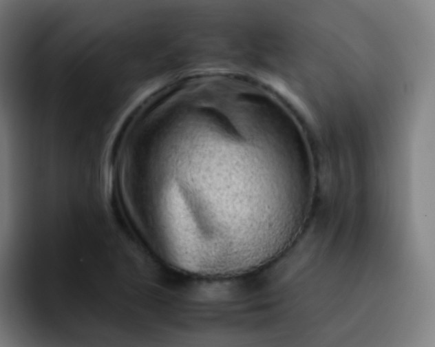 X0000093231221200710101357