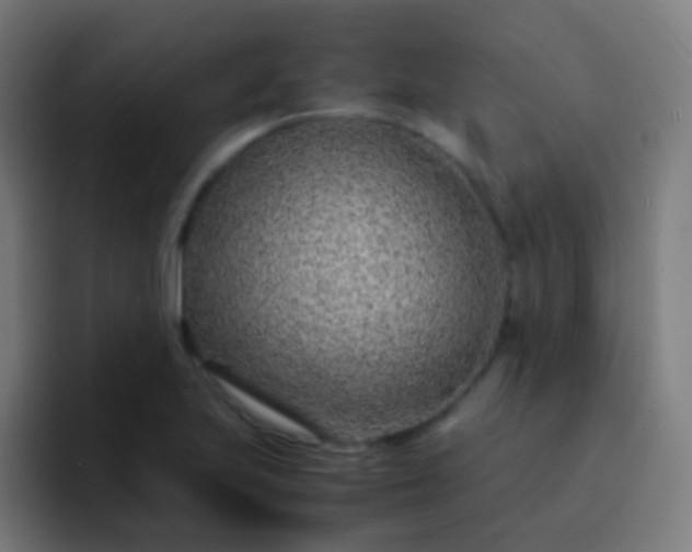 X0000093231223200710101357