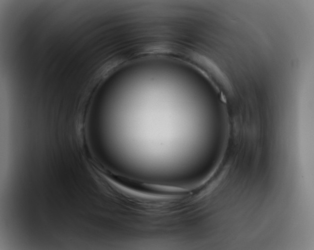 X0000093231225200710101357