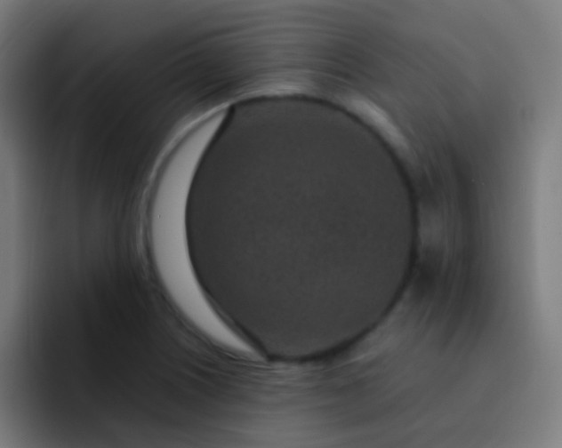 X0000093231226200710101358