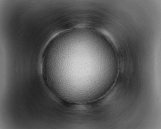 X0000093231227200710101358