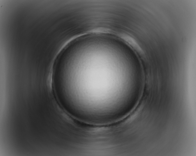 X0000093231228200710101358