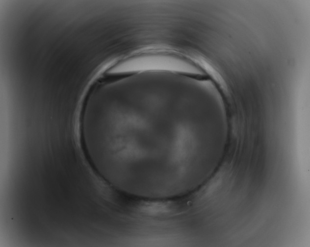 X0000093231229200710101358