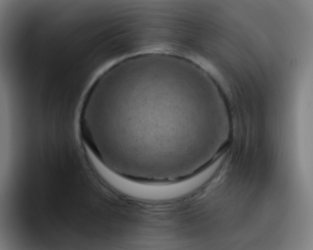 X0000093231230200710101358