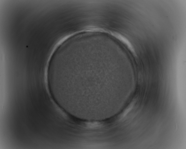 X0000093231231200710101358