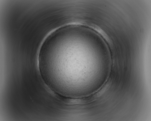 X0000093231232200710101358