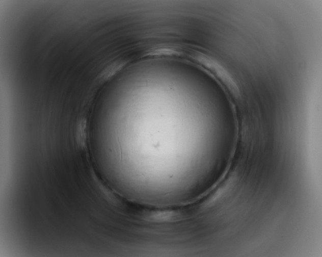 X0000093231233200710101358