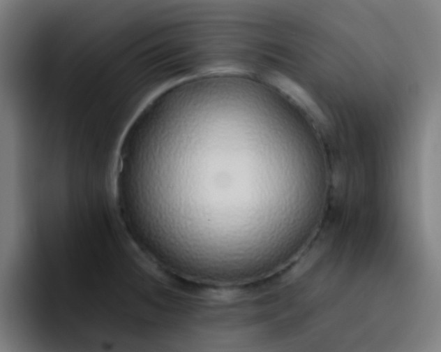 X0000093231236200710101358