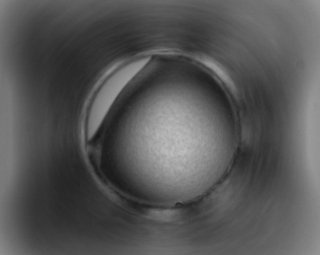 X0000093231237200710101358