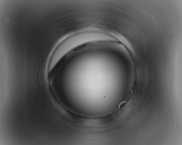 X0000093231238200710101358