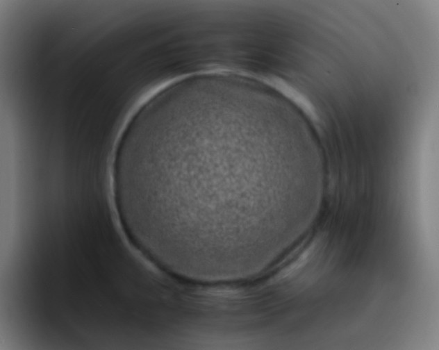 X0000093231239200710101358