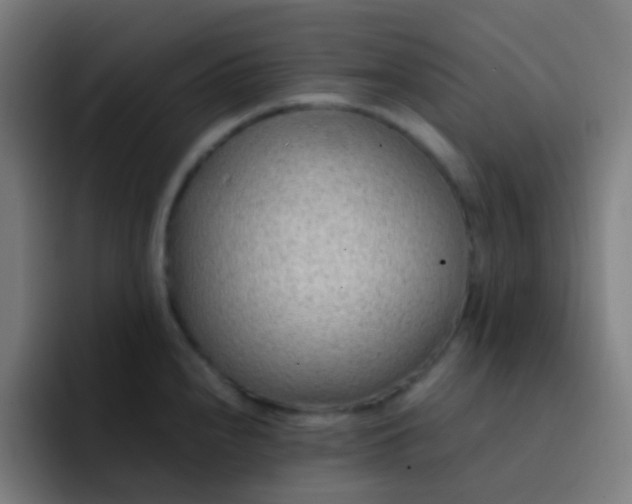 X0000093231240200710101358