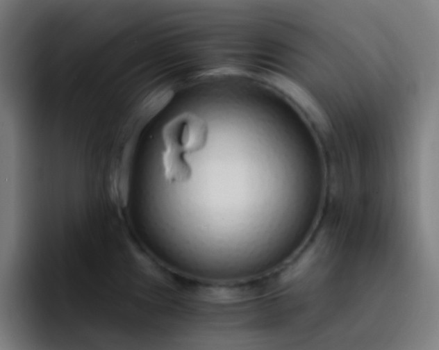 X0000093231241200710101358